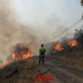 Un moment dels treballs d'extinció dels Bombers de la Generalitat a la Catalunya del Nord.