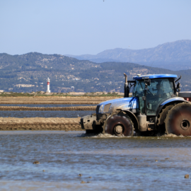 9-5-2023 Un tractor sembra arròs en uns camps davant del fas del Fangar del Delta