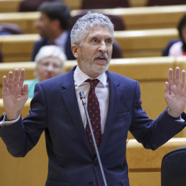 El ministro del Interior, Fernando Grande-Marlaska, interviene en una sesión de control celebrada en el pleno del Senado, en Madrid, a 16 de mayo de 2023.