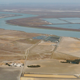 Paisaje de las marismas del Guadalquivir de Trebujena (Cádiz), el área en el que se proyecta una macrourbanización de hoteles, campo de golf y 300 viviendas