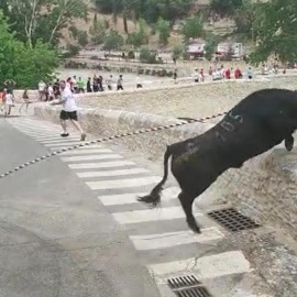 El toro se precipitó desde una altura de unos quince metros en Ontinyent.