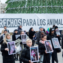 Decenas de personas sostienen fotos de animales, durante una concentración por el Día internacional de los derechos de los animales, a 9 de diciembre de 2023, en Madrid