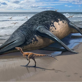 Recreación del Ichthyotitan severnensis, el reptil marino gigante encontrado en una playa británica.