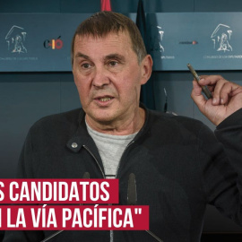 Arnaldo Otegi