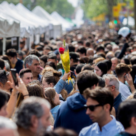 Sant Jordi