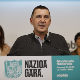 El coordinador general de EH Bildu, Arnaldo Otegi, durante la comparecencia de este lunes en Bilbao. LUIS TEJIDO/EFE