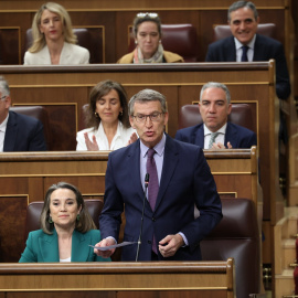 El presidente del PP, Alberto Núñez Feijóo, interviene durante una sesión de control al Gobierno, en el Congreso de los Diputados, a 24 de abril de 2024, en Madrid.