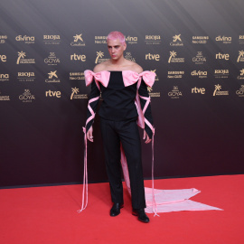 12/02/2022 Eduardo Casanova, en la alfombra roja de la 36ª gala de los Premios Goya