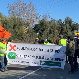 La manifestació contra el macroparc eòlic de l'Albera.