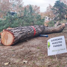 Imagen de las talas en Comillas el pasado 11 de diciembre