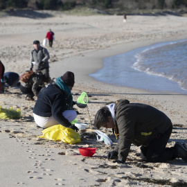 7/1/24  Voluntarios recogen microplásticos el pasado domingo en la playa de A Lanzada, en O Grove (Pontevedra).