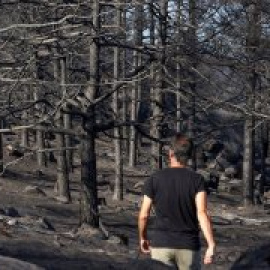 Estabilizado el incendio de Ávila, que todavía sigue activo aunque ya sin llamas