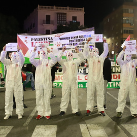 Varias personas disfrazadas y con carteles, durante una manifestación en apoyo a Palestina, a 29 de noviembre de 2023.