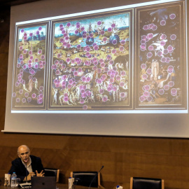 Eduardo Fernández Jover  durante la presentación de los resultados de un estudio científico sobre "El jardín de las delicias" del Bosco.