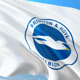 Escudo del equipo de fútbol Brighton & Hove Albion Football Club