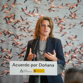 La ministra de Transición Ecológica y Reto Demográfico, Teresa Ribera, durante la rueda de prensa por el acuerdo del protocolo del Parque Nacional de Doñana, a 27 de noviembre de 2023, en Huelva.