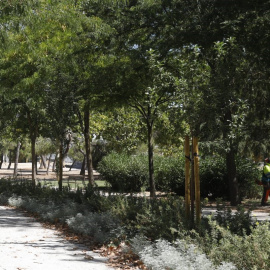 Parque de las Cruces, en el distrito de Carabanchel, en una imagen del Ayuntamiento de Madrid.