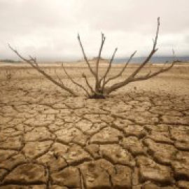 Ciudad del Cabo, el reto de vivir sin agua que pone cara al cambio climático