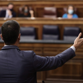 El presidente del Gobierno, Pedro Sánchez, interviene en la sesión de control en el Congreso de los Diputados. E.P./Eduardo Parra