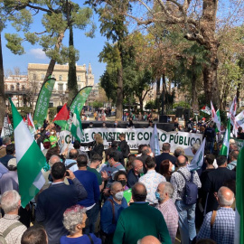 La manifestación del 28F en Sevilla: Andalucía se construye con lo público.