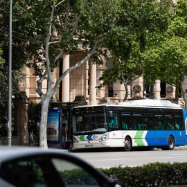 Un autobus en una calle de Palma de Mallorca.