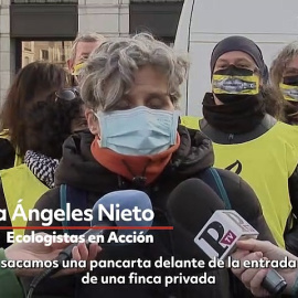 VÍDEO | Amnistía Internacional exige cambios más profundos en la 'ley mordaza'