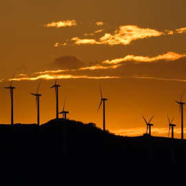 Proyectos que suman más de 600 aerogeneradores y cientos de kilómetros de líneas eléctricas amenazan con cerrar los flancos sur y oeste de la reserva de Bardenas.