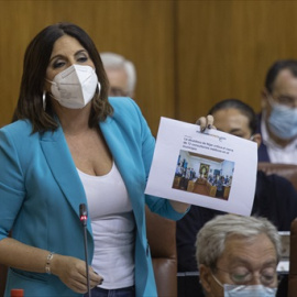 La portavoz del grupo parlamentario PSOE-A, Ángeles Férriz, durante su intervención en la sesión de control al gobierno con pregunta de los grupos parlamentarios al presidente de la Junta, en la segunda jornada del Pleno del Parlamento andaluz. A 11 d