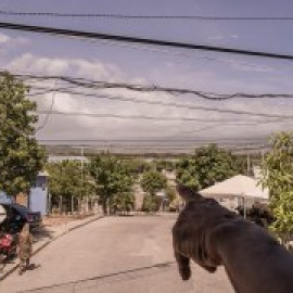 El polvillo que contamina el mundo: así es el eje del carbón entre Colombia y Alemania