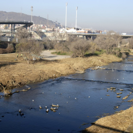 26/01/2022 - El tram del riu Besòs on es farà el projecte de renaturalització.