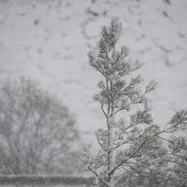 nieve Cantabria