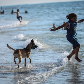 Escena de playa en la que un niño juega con su perro.