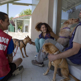 Centro Integral de Acogida de Animales (CIAAM) en Colmenar Viejo. COMUNIDAD DE MADRID