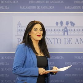 Ángeles Férriz, nueva portavoz parlamentaria del PSOE de Andalucía.