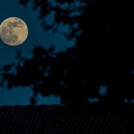 Imagen de archivo de la Luna llena en el Parque de María Luisa, el 26 de mayo de 2021 en Sevilla. - EUROPA PRESS