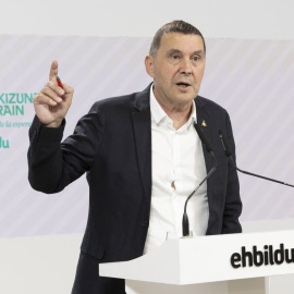 Arnaldo Otegi