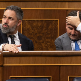 El líder de VOX, Santiago Abascal, durante una sesión plenaria, en el Congreso de los Diputados