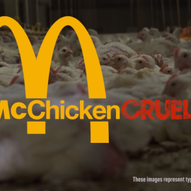 Imagen del vídeo de la campaña contra la empresa Mcdonalds