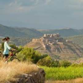 Vuit propostes per reviure la història de Catalunya des del Bages