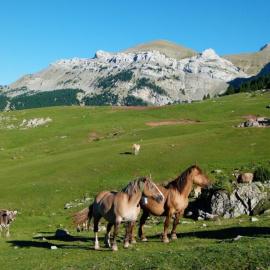 El Comabona, un dels millors miradors de la Cerdanya