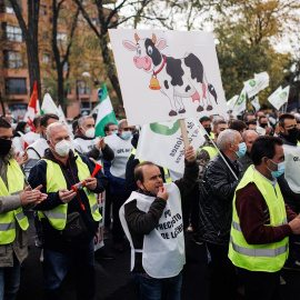 12/01/22. Ganaderos del sector lácteo protestan con la exigencia de precios que cubran los costes de producción de la leche, en Madrid, a 25 de noviembre de 2021.