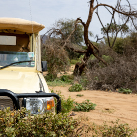 Imagen de archivo de un safari