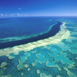 Descubierto un nuevo arrecife de coral en la Gran Barrera de Australia, el primero en 120 años