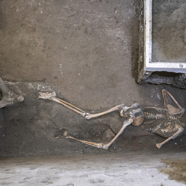 El cuerpo de una persona, víctima de la erupción del volcán, encontrado en el área arqueológica de Pompeya, al sur de Italia.