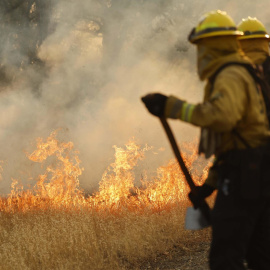 Un grupo de bomberos trata de controlar el incendio del condado de Tehama, en California, a 30 de julio.