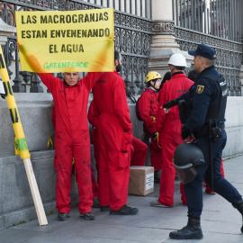 01/08/2024 Varios miembros de la organización ecologista Greenpeace en una acción contra las macrogranjas en Madrid. Foto de archivo.