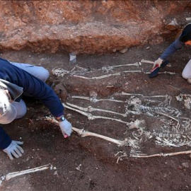 Fosa común en Teba de fusilados en la Guerra Civil. EFE/Archivo