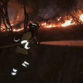 Varios efectivos trabajan para combatir el incendio forestal declarado este domingo en la Sierra de Andújar (Jaén)