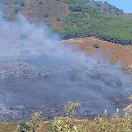 Un incendio forestal en la provincia de Ávila afecta a un importante yacimiento arqueológico