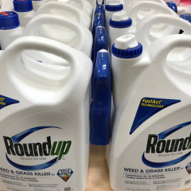 Envases del herbicida 'Roundup', de Monsanto, que contiene glifosato. REUTERS/Mike Blake